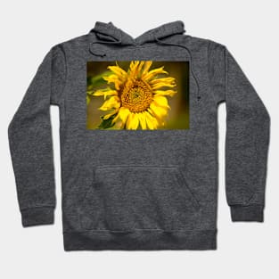 blb patterns sunflower Hoodie